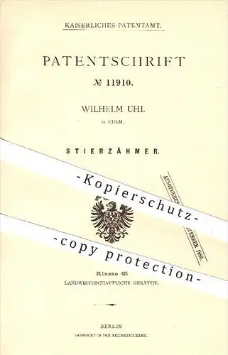 original Patent - Wilhelm Uhl in Kulm , 1880 , Stierzähmer , Stier , Stiere , Viehzucht , Tierzucht , Tiere , Bauer !!!