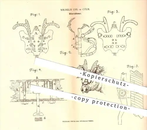 original Patent - Wilhelm Uhl in Kulm , 1880 , Stierzähmer , Stier , Stiere , Viehzucht , Tierzucht , Tiere , Bauer !!!