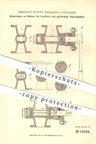original Patent - Christian Rudolf Bergreen in Roitzsch , 1880 , Wasserhahn , Hahn , Hähne , Sandersdorf-Brehna