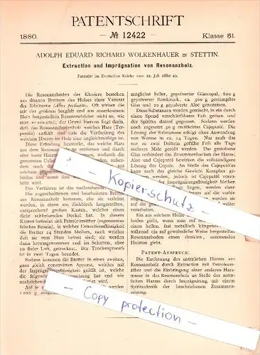 Original Patent - A. E. R. Wolkenhauer in Stettin , 1880 , Extration und Imprägnation von Resonanzholz !!!