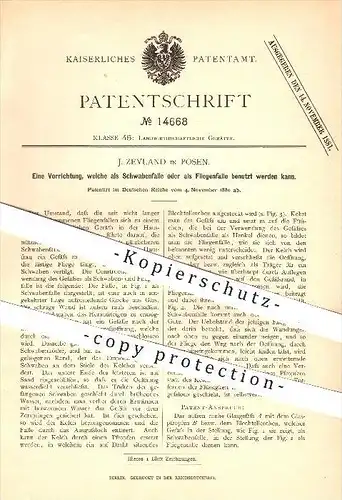 original Patent - J. Zeyland in Posen , 1880 , Schwabenfalle , Fliegenfalle , Fliegen , Insekten , Haushalt !!!