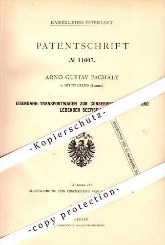 Original Patent - Arno G. Pachály in Mittelgrund / Tetschen , 1880 , Eisenbahn-Waggon für Fische , Decin !!!