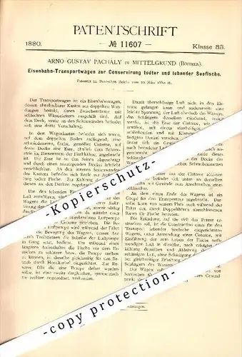 Original Patent - Arno G. Pachály in Mittelgrund / Tetschen , 1880 , Eisenbahn-Waggon für Fische , Decin !!!