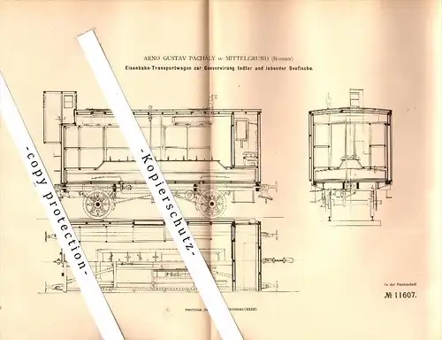 Original Patent - Arno G. Pachály in Mittelgrund / Tetschen , 1880 , Eisenbahn-Waggon für Fische , Decin !!!