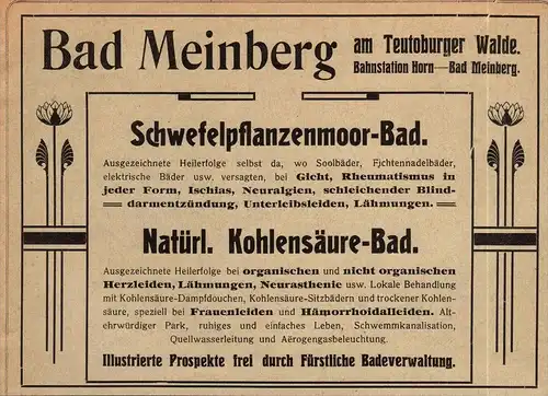 original Werbung - 1906 - Bad Meinberg a. Teutoburger Walde , Schwefelbad , Kur , Moorbad !!!