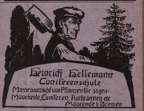 original Werbung - 1906 - Heinrich Hellemann in Moorende b. Bremen , Jork , Pflanzen , Gartenbau !!!
