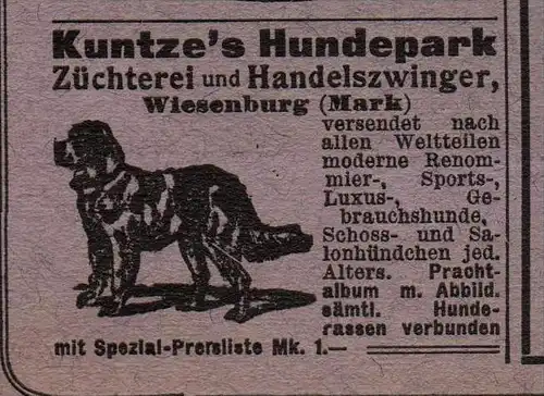 original Werbung - 1906 - Hundezucht und Zwinger in Wiesenburg / Mark , Hunde !!!