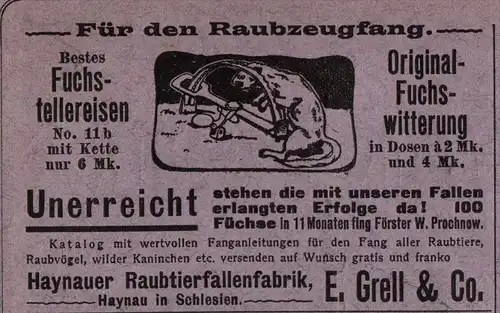 original Werbung - 1906 - Raubtierfallenfabrik in Haynau i. Schlesien / Chojnów , Fallen , Jäger ,E. Grell & Co. , Fuchs