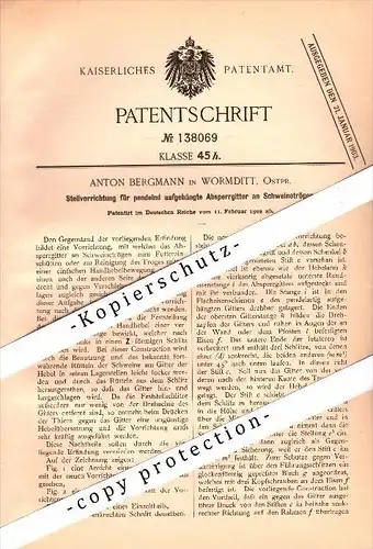 Original Patent - Anton Bergmann in Wormditt / Orneta , 1902 , Sperrgitter für Schweinetrog , Schweine , Schweinestall !