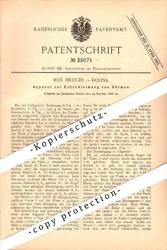 Original Patent - Max Hilliger in Dohna b. Dresden , 1886 , Apparat zur Entschleimung von Därmen , Schlachter , Metzger