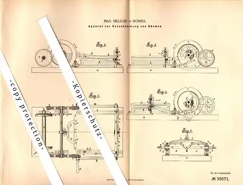Original Patent - Max Hilliger in Dohna b. Dresden , 1886 , Apparat zur Entschleimung von Därmen , Schlachter , Metzger