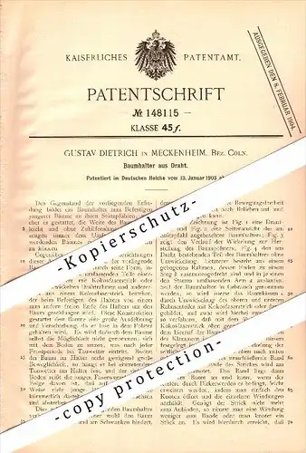 Original Patent - Gustav Dietrich in Meckenheim b. Köln , 1903 , Baumhalter aus Draht , Baumschule , Forst !!!