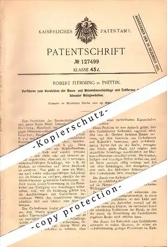 Original Patent - Robert Flemming in Prettin b. Annaburg , 1900, Vernichtung der Weinrebenschädlinge , Wein , Weinbau !!