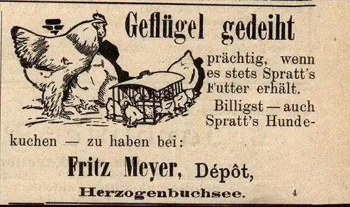 original Werbung - 1911 - Geflügel , Fritz Meyer in Herzogenbuchsee !!!