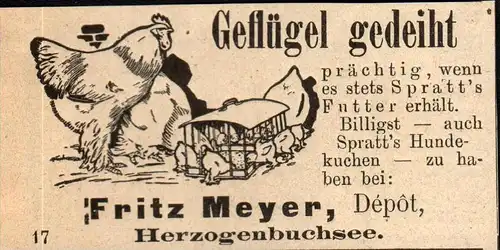 original Werbung - 1911 - Geflügel , Fritz Meyer in Herzogenbuchsee !!!