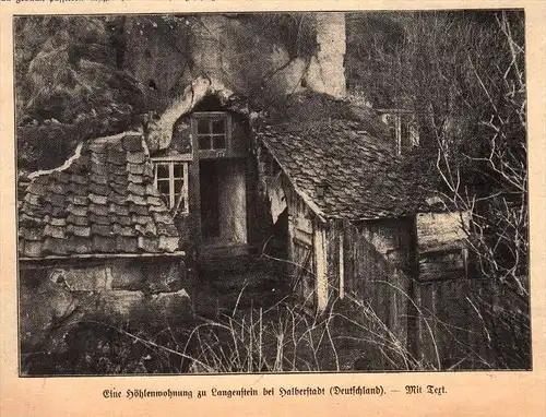 original Zeitungsausschnitt - 1911 -  Höhlenwohnung in Langenstein b. Halberstadt !!!