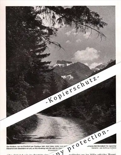 original Zeitungsausschnitt - 1942 - Straße von Oberstdorf zum Oytalhaus , A4 Seite !!!