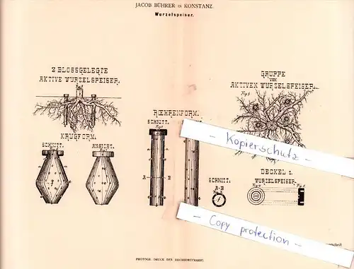 Original Patent - Jacob Bührer in Konstanz , 1883 , Wurzelspeiser !!!