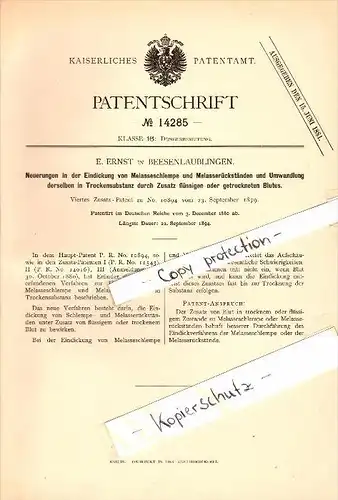 Original Patent - E. Ernst in Beesenlaublingen b. Könnern , 1880 , Eindickung von Melasseschlempe mit Blut !!!
