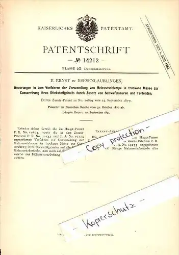 Original Patent - E. Ernst in Beesenlaublingen b. Könnern , 1880 , Verwandlung von Melasseschlempe !!!