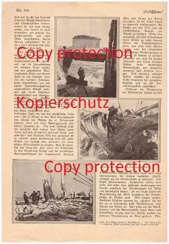 original Zeitungsbericht - 1928 - Walfang in der Antarktis , Walfisch , Wal , Schweinswal !!!