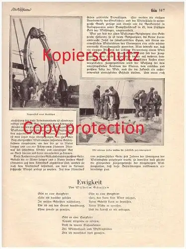 original Zeitungsbericht - 1928 - Walfang in der Antarktis , Walfisch , Wal , Schweinswal !!!