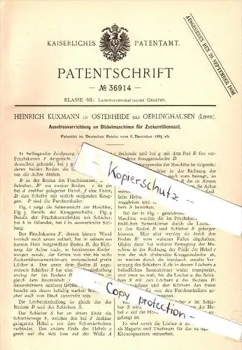 Original Patent - Heinrich Kuxmann in Osterheide b. Oerlinghausen ,1885, Dibbelmaschine für Zuckerrüben , Landwirtschaft