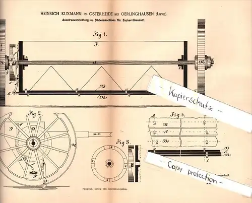 Original Patent - Heinrich Kuxmann in Osterheide b. Oerlinghausen ,1885, Dibbelmaschine für Zuckerrüben , Landwirtschaft