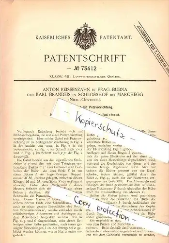 Original Patent - Karl Brandeis in Schlosshof bei Marchegg , Niederösterreich , 1893 , Rübenerntegabel , A. Reissenzahn