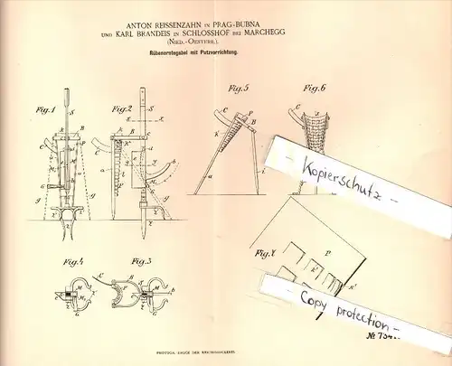 Original Patent - Karl Brandeis in Schlosshof bei Marchegg , Niederösterreich , 1893 , Rübenerntegabel , A. Reissenzahn