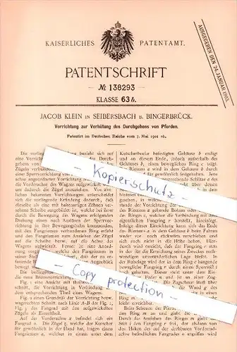 Original Patent - Jacob Klein in Seibersbach b. Bingerbrück , 1901 , Durchgehverhütung für Pferde , Stromberg , Bingen !