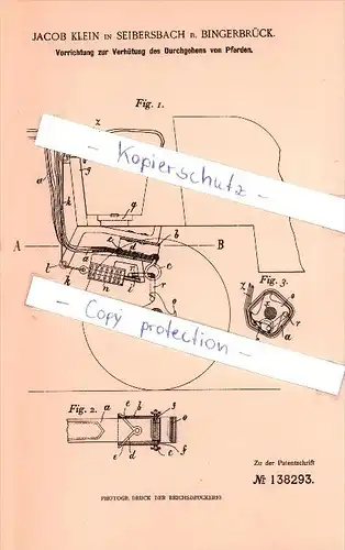 Original Patent - Jacob Klein in Seibersbach b. Bingerbrück , 1901 , Durchgehverhütung für Pferde , Stromberg , Bingen !