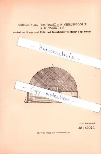 Original Patent - Sidonie Voigt geb. Franz  in Hintergersdorff  ,1902 , Brutkorb für Hühner , Tharandt !!!