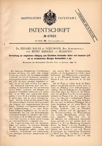 Original Patentschrift - Dr. Eduard Nauss in Todtmoos , 1895 , Apparat für Luft und Arzneimittel - Zerstäubung , Arzt !!