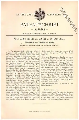 Original Patentschrift -  Anna Simon ,geb. Zingel in Ohlau / O&#322;awa , 1894 , Veredelung von Bäumen , Gärtnerei , Bäu