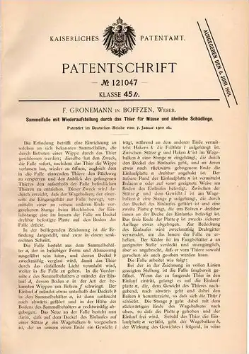 Original Patentschrift - F. Gronemann in Boffzen b. Holzminden , 1900, Sammelfalle für Mäuse , Falle , Mausefalle , Maus