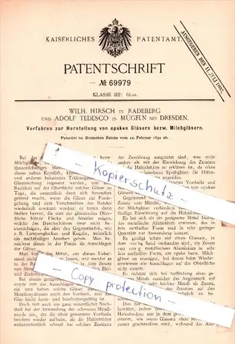 Original Patent  - Wilh. Hirsch in Radeberg und Adolf Tedesco in Mügeln bei Dresden , 1892 , !!!