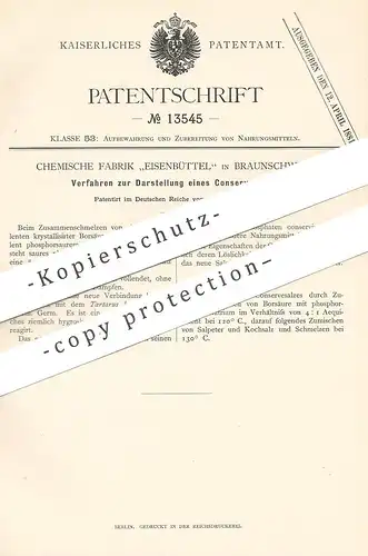 original Patent - Chemische Fabrik Eisenbüttel , Braunschweig 1880 , Darstellung von Conservesalz | Salz , Kochsalz