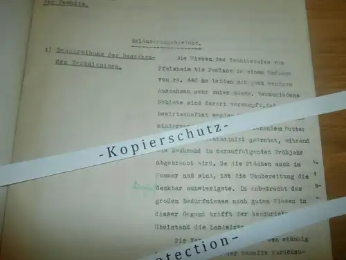 10seitig , Temnitz von Pfalzheim bis Paalzow , 1933 , Rägelin , Katerbow , Walsleben , Neuruppin , Kulturbauamt !!!