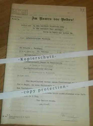 Beenz b. Lychen , 1931 , Im Namen des Volkes ! Strafe für Fischen , Neustrelitz ,F. Köhn und P. Schläger , Uckermark !!!