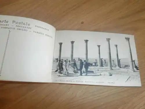 Album voll mit Postkarten / Ansichtskarten aus Timgad b. Batna , Algerien , AK , Fotoalbum !!!