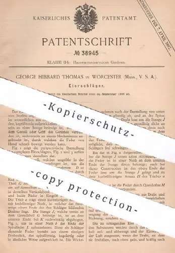original Patent - George Hibbard Thomas , Worcester , Massachusetts , USA , 1886 , Eierschläger | Schläger für Ei , Eier