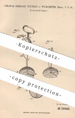 original Patent - George Hibbard Thomas , Worcester , Massachusetts , USA , 1886 , Eierschläger | Schläger für Ei , Eier