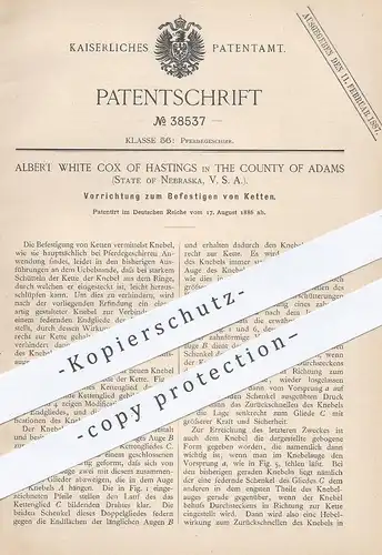 original Patent - Albert White Cox of Hastings , Adams , Nebraska , 1886 , Befestigen v. Ketten | Pferd , Pferdegeschirr