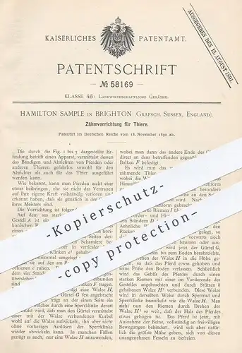 original Patent - Hamilton Sample , Brighton , Sussex , England , 1890 , Zähmvorrichtung für Tiere | Tierzucht