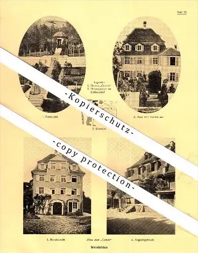 Photographien / Ansichten , 1928 , Märstetten und Weinfelden , Prospekt , Architektur , Fotos !!!