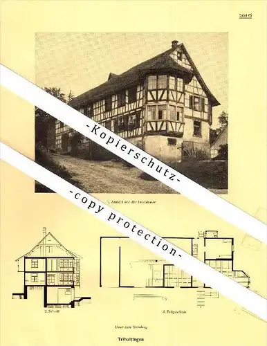 Photographien / Ansichten , 1928 , Triboltingen , Ermatingen , Bez. Kreuzlingen , Prospekt , Architektur , Fotos !!!