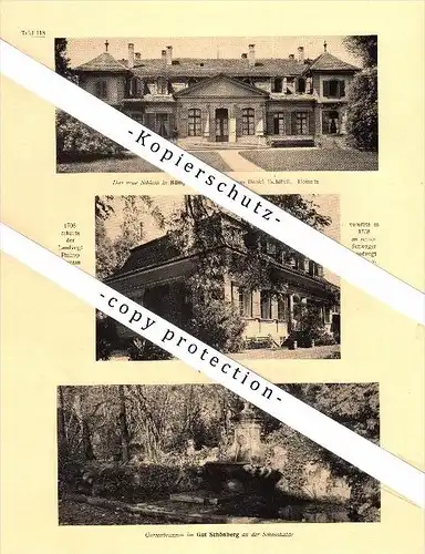 Photographien / Ansichten , 1922 , Muri - Gümligen , Schönberg , Bümpliz , Prospekt , Architektur , Fotos !!!