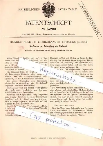 Original Patent - H. Koldt in Theresienau bei Tetschen / Decin , Böhmen , 1880 ,  Behandlung von Steinnuß !!!