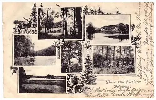 AK - Vietz a.d. Ostbahn , Försterei Dolgensee 1907 , Witnica !!!